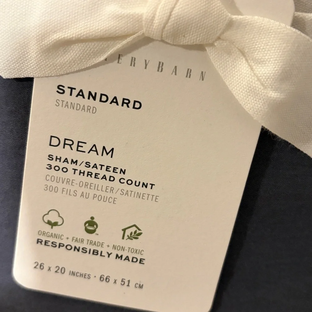 Set of 4 Pottery Barn Dream Brushed Organic Cotton Sateen Shams